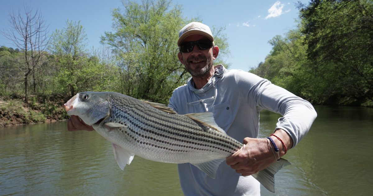 Toccoa River Hatch Chart 2026: Month-by-Month Guide