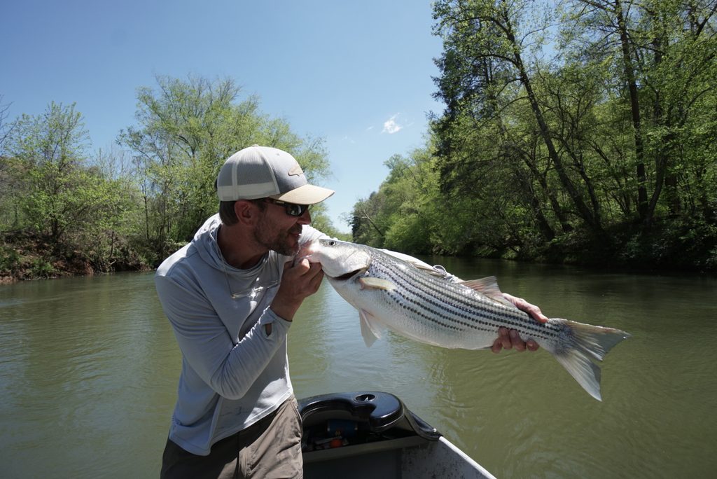 The Complete Guide to Fly Fishing the Toccoa River in 2026