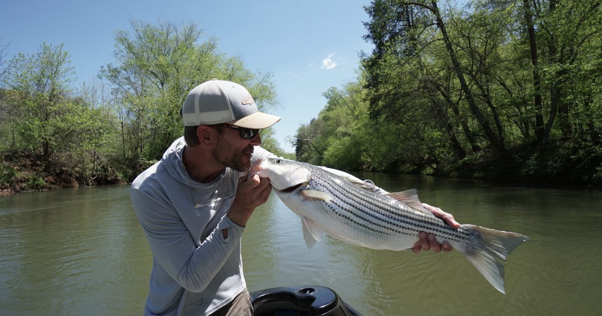 The Complete Guide to Fly Fishing the Toccoa River in 2026