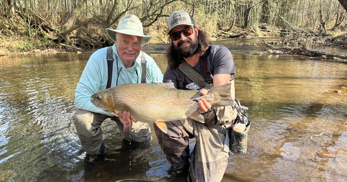 What to Expect on Your First Guided Fly Fishing Trip
