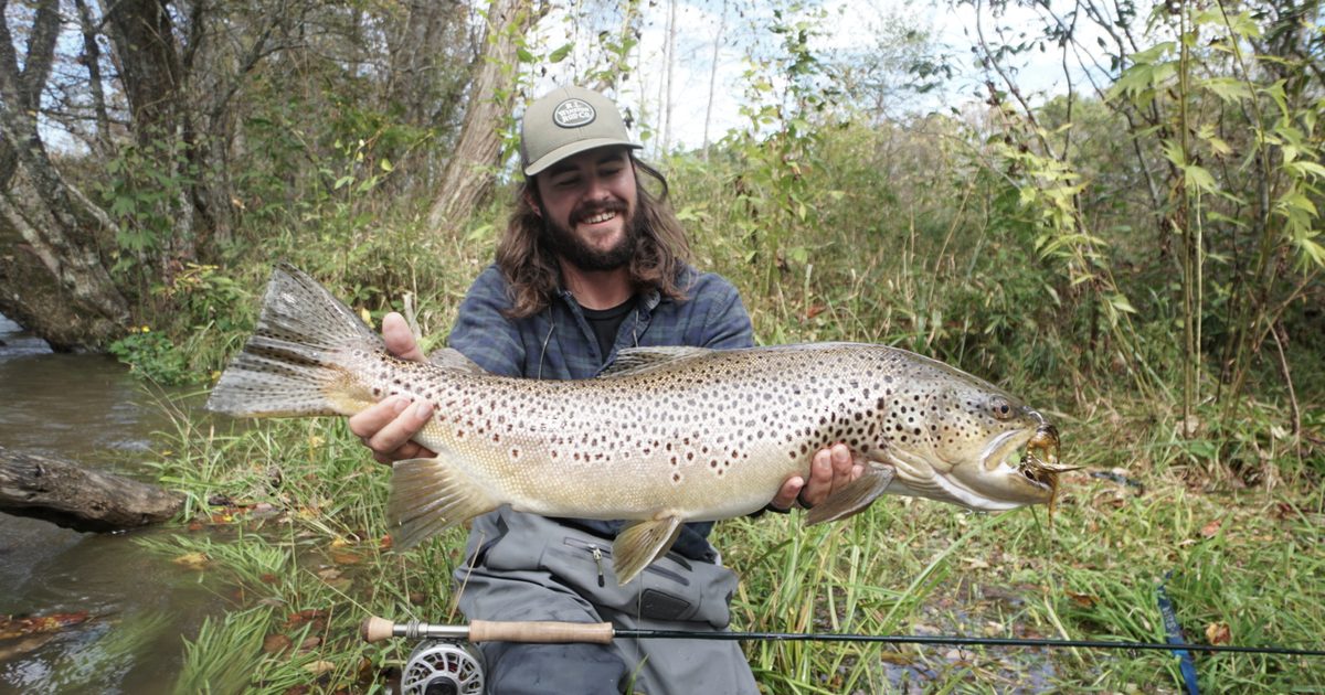 Christmas Fly Fishing Gift Guide for 2026: The Best Experience Gifts in Georgia