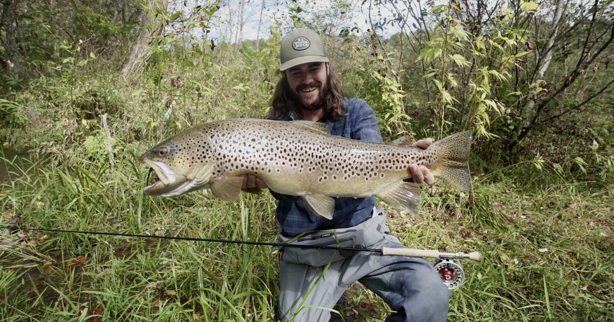 Fly Fishing vs Spin Fishing: An Angler's Insight