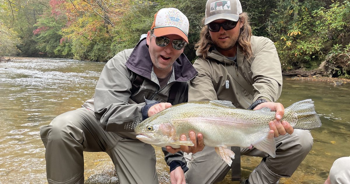 Catch and Release Section of the Toccoa River: 2026 Guide