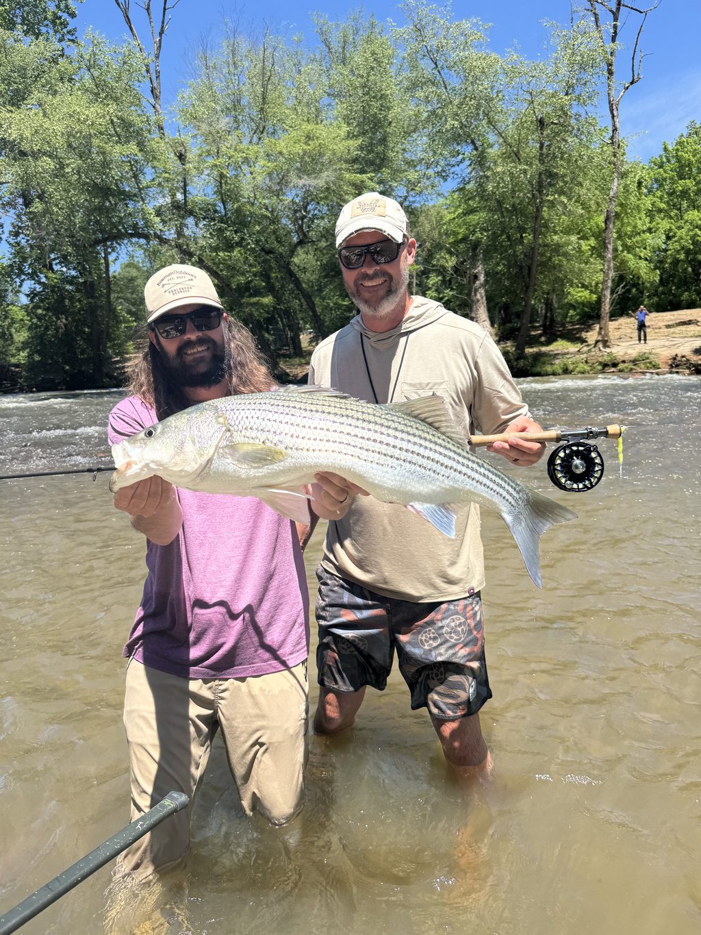 North Georgia vs Western North Carolina Fly Fishing: Which to Pick in 2026
