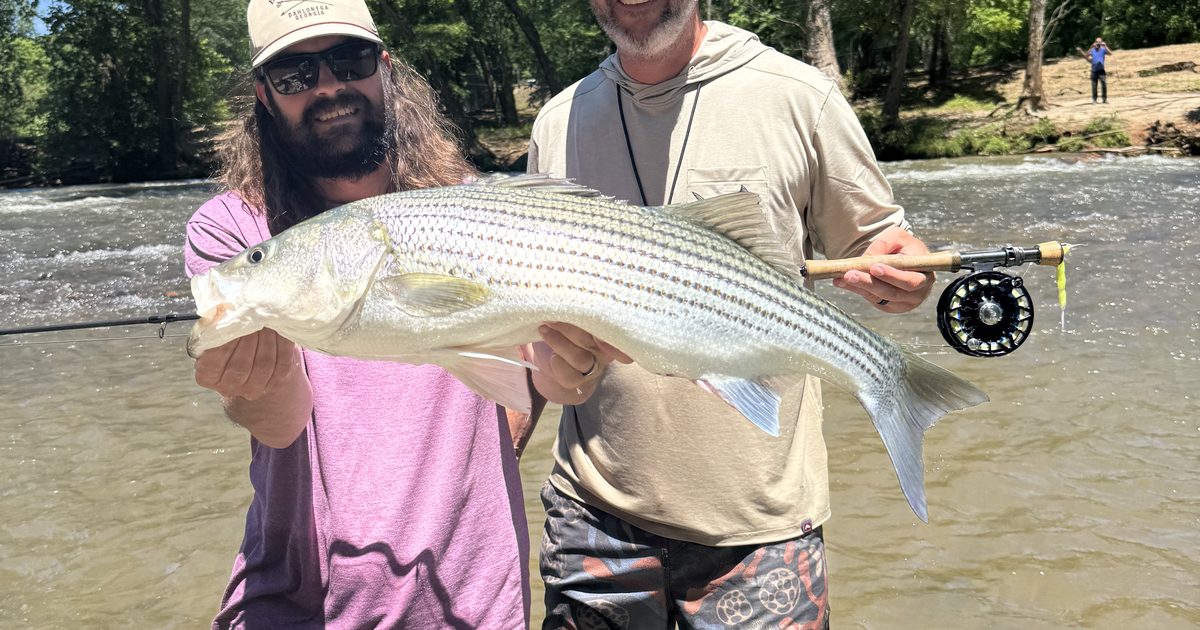 North Georgia Fly Fishing Report — Week of May 6, 2026